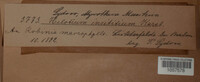 Image Associated With the Occurence